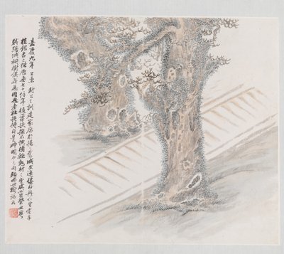 Dziesięć stron powiązanych z Ruan Yuan, datowane na 1883 rok. autorstwa Wang Jun