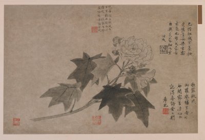 Hibiskus, 1347. autorstwa Wang Yuan