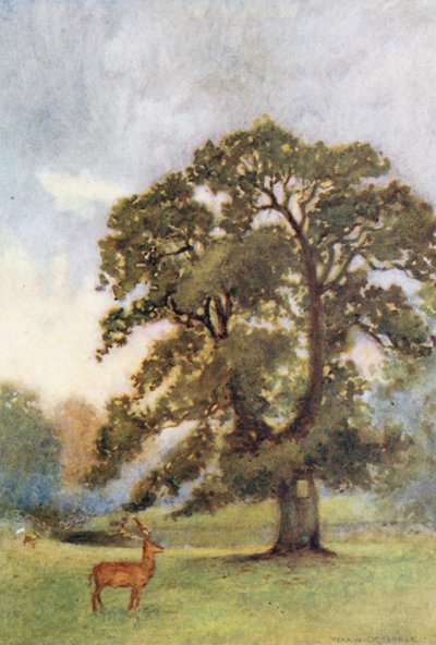  autorstwa Warwick (after) Goble