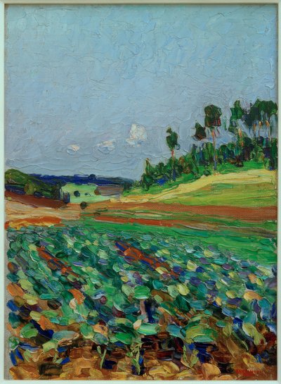 Krajobraz w pobliżu Ratyzbony autorstwa Wassily Kandinsky