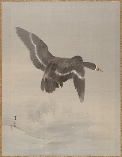 Latająca gęś, ca. 1887. autorstwa Watanabe Seitei
