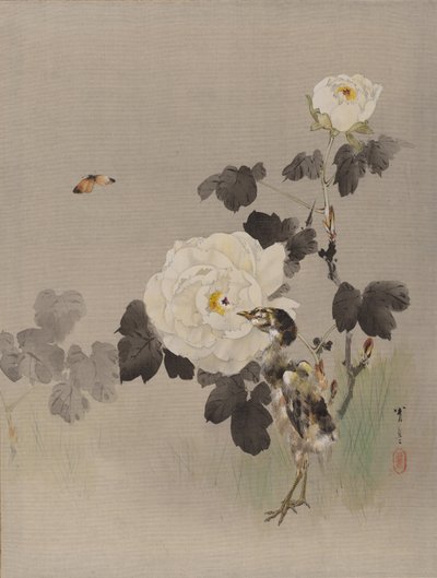 Róże, Młody Ptaszek i Motyl, ca. 1887. autorstwa Watanabe Seitei