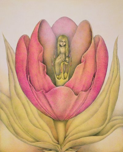 Tulipan otwiera się z trzaskiem autorstwa Wayne Anderson