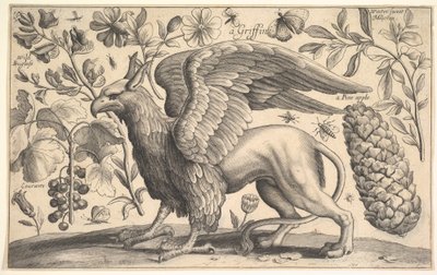 Gryf, 1625-77. autorstwa Wenceslaus Hollar