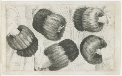 Muff w pięciu odsłonach, 1645-1646 autorstwa Wenceslaus Hollar