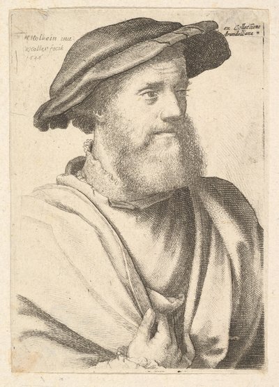 Brodaty mężczyzna według Hansa Holbeina , 1646. autorstwa Wenceslaus Hollar