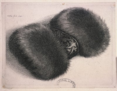 Duża mufka z wstęgą brokatu, 1647 autorstwa Wenceslaus Hollar