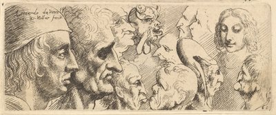 Różne głowy, 1625-77. autorstwa Wenceslaus Hollar