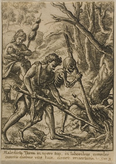 Adam Orka autorstwa Wenceslaus Hollar