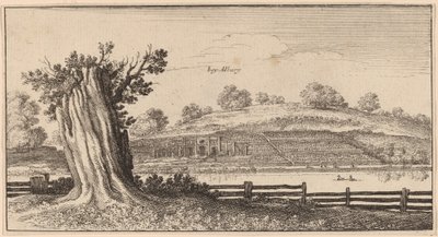 Albury autorstwa Wenceslaus Hollar