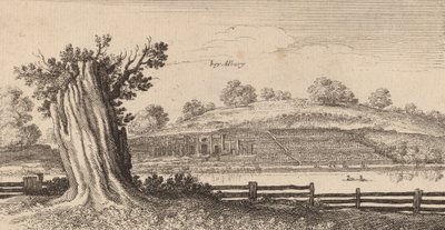 Albury, 1645. autorstwa Wenceslaus Hollar