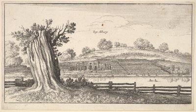 Albury z pniakiem na pierwszym planie, 1625-77. autorstwa Wenceslaus Hollar
