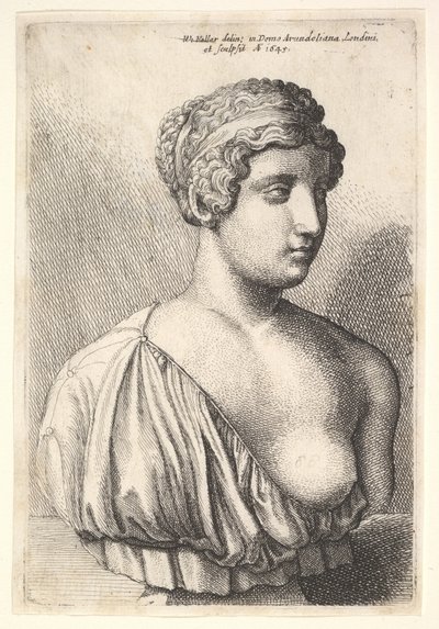 Antyczne popiersie kobiety, 1645. autorstwa Wenceslaus Hollar