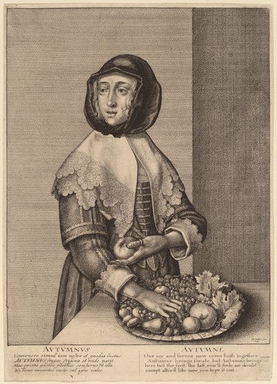 Jesień autorstwa Wenceslaus Hollar
