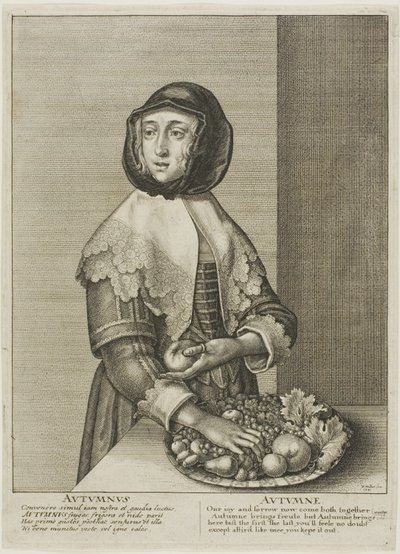 Jesień autorstwa Wenceslaus Hollar