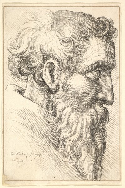 Brodaty starzec z profilu po prawej, 1645. autorstwa Wenceslaus Hollar