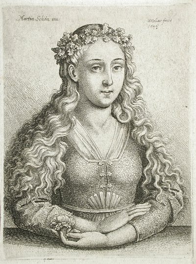 Popiersie kobiety autorstwa Wenceslaus Hollar
