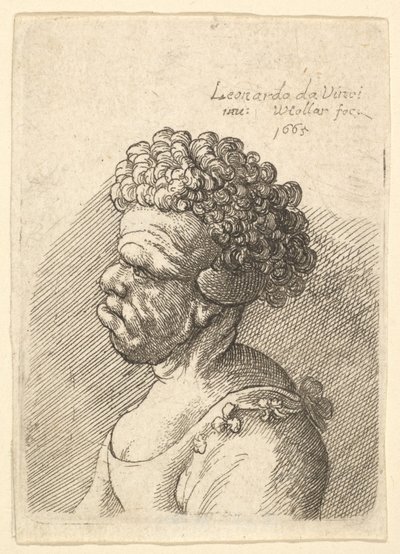 Popiersie zdeformowanej kobiety z kręconymi włosami z profilu po lewej, 1665. autorstwa Wenceslaus Hollar