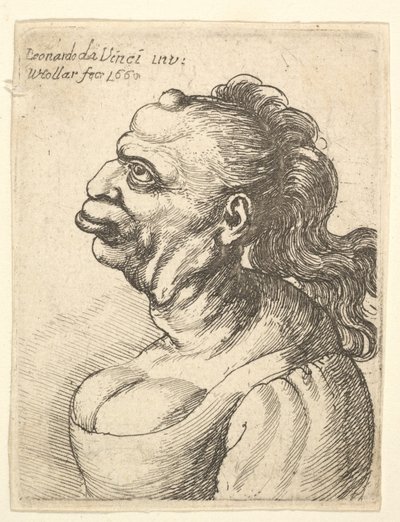 Popiersie kobiety w wydekoltowanej sukience, z wystającą wargą, narośl na czole, prom..., 1660. autorstwa Wenceslaus Hollar