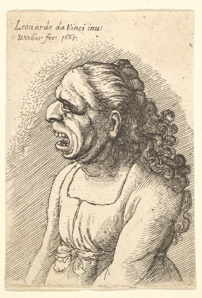 Popiersie kobiety z szeroko otwartymi ustami i długimi kręconymi włosami opadającymi na ramiona, ubrana w..., 1665. autorstwa Wenceslaus Hollar