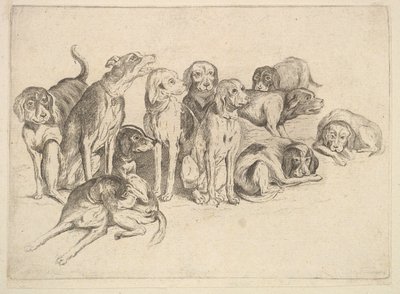 Jedenaście ogarów, 1625-77. autorstwa Wenceslaus Hollar