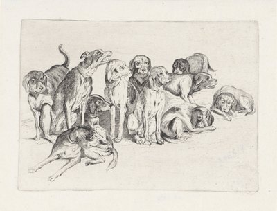 Jedenaście psów myśliwskich autorstwa Wenceslaus Hollar