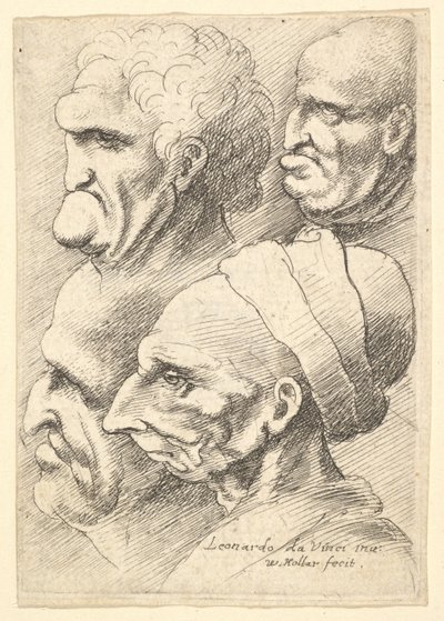 Cztery groteskowe głowy z profilu po lewej, 1625-77. autorstwa Wenceslaus Hollar