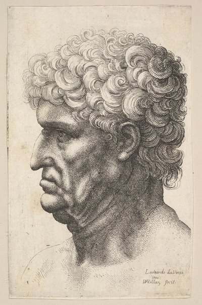 Głowa mężczyzny z gęstymi kręconymi włosami z profilu po lewej, 1640-49. autorstwa Wenceslaus Hollar