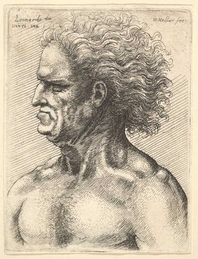 Głowa muskularnego starca z profilu po lewej z rozwianymi włosami, 1625-77. autorstwa Wenceslaus Hollar