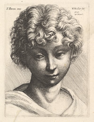 Głowa młodej dziewczyny, 1645. autorstwa Wenceslaus Hollar