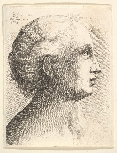 Głowa młodej kobiety z profilu po prawej, 1645. autorstwa Wenceslaus Hollar