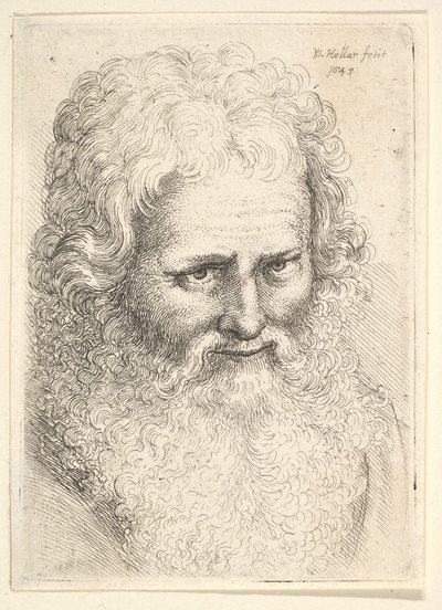 Głowa starego mężczyzny z dużą brodą autorstwa Wenceslaus Hollar