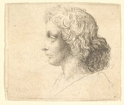 Głowa młodego mężczyzny z długimi włosami z profilu po lewej, 1644-52. autorstwa Wenceslaus Hollar