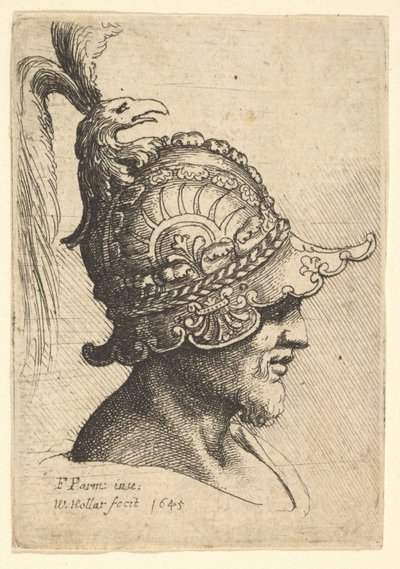 Głowa w hełmie z herbem ptaków, 1645. autorstwa Wenceslaus Hollar