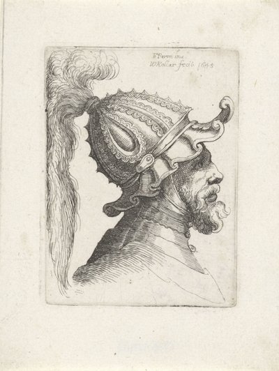 Głowa mężczyzny w hełmie z pióropuszem Głowy z hełmami do Parmigianino (tytuł serii) autorstwa Wenceslaus Hollar
