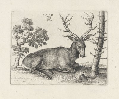 Leżący jeleń w prawo autorstwa Wenceslaus Hollar