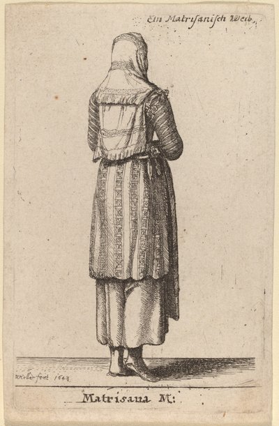 Matrisana M. autorstwa Wenceslaus Hollar