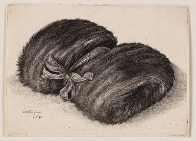 Ciemna rękawiczka z futerkiem z kokardką autorstwa Wenceslaus Hollar
