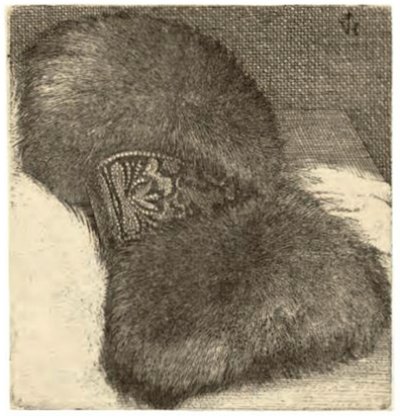Mufka z opaską brokatową autorstwa Wenceslaus Hollar