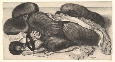  autorstwa Wenceslaus Hollar