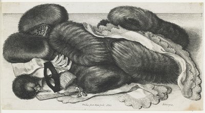 Mufki i artykuły odzieżowe na stole, 1647 autorstwa Wenceslaus Hollar