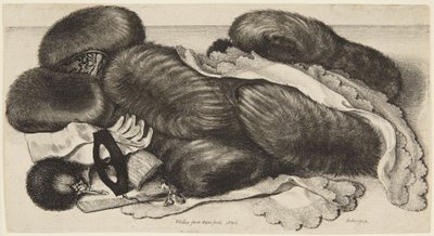 Mufki i stroje autorstwa Wenceslaus Hollar