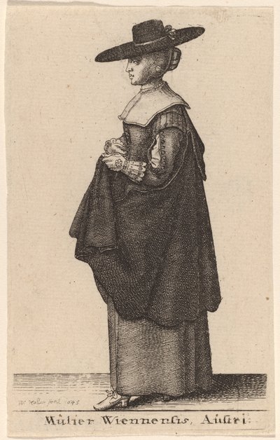 Kobieta z Wiednia, Austria autorstwa Wenceslaus Hollar