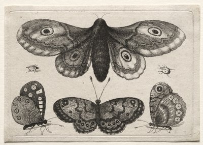 autorstwa Wenceslaus Hollar