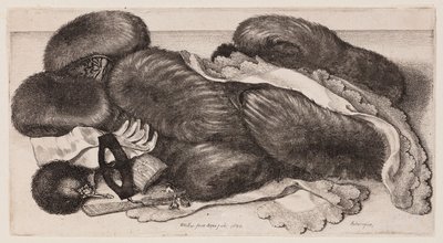 Martwa natura z mufkami, rękawiczkami i szalikami autorstwa Wenceslaus Hollar