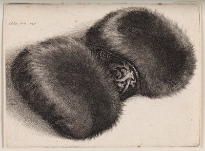  autorstwa Wenceslaus Hollar