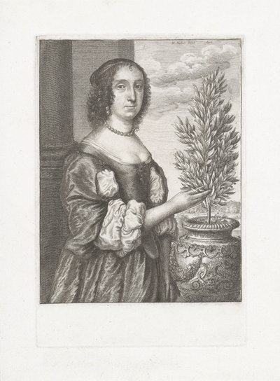 Portret kobiety stojącej obok rośliny laurowej autorstwa Wenceslaus Hollar