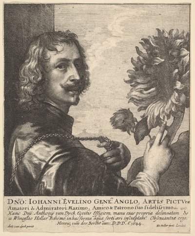 Sir Anthony van Dyck ze słonecznikiem, 1644. autorstwa Wenceslaus Hollar