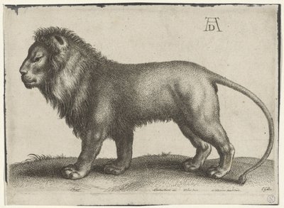 stojący lew autorstwa Wenceslaus Hollar
