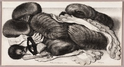 Martwa natura z grupą mufków, parą rękawiczek i dwiema chustkami autorstwa Wenceslaus Hollar